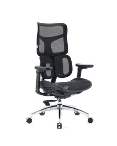 S100-M301 | Sihoo - Profi Bürostuhl 