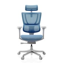 ERGOHUMAN SLIM G GEN2 | Netz - Luxus Chefsessel Blau