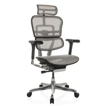 ERGOHUMAN GEN2 | Netz - Luxus Chefsessel Hellgrau