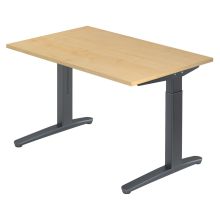 XTRA XB 12 GG | Schreibtisch - Ahorn 120 x 80 höhenverstellbar