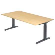 XTRA XB 2E GG | Schreibtisch - Ahorn 200 x 100 höhenverstellbar