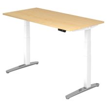 XBHM 16 WC | Schreibtisch - Ahorn 160 x 80 elektrisch höhenverstellbar
