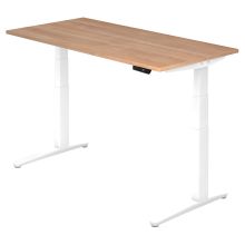 XBHM 16 WW | Schreibtisch - 160 x 80 Nussbaum elektrisch höhenverstellbar