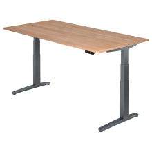 XBHM 2E GG | Schreibtisch - 200 x 100 Nussbaum elektrisch höhenverstellbar