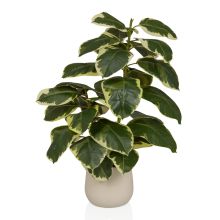 Ficus 3 - Kunstpflanze 