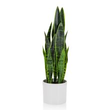 SANSEVIERIA - Kunstpflanze 