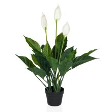 SPATHIPHYLLUM - Kunstpflanze 
