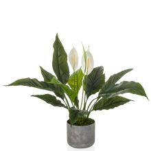 Spathiphyllum 1 - Kunstpflanze 